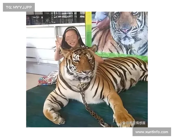 昆明动物园惊现惨剧:女童与老虎合照遭遇不幸(昆明动物园小女孩老虎) 昆明动物园惊现惨剧:女童与老虎合照遭遇不幸(昆明动物园小女孩老虎)